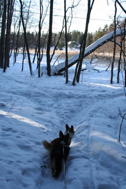 Metsäpolku vaihtuu merimaisemaksi