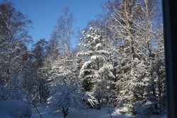 Yöllä sataneen lumen verhoama luonto