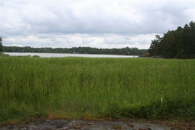 saaristomaisemaa