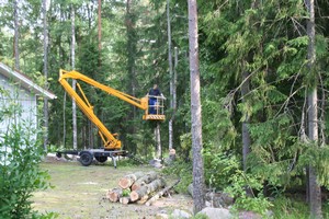 Ensimmäinen puu maassa